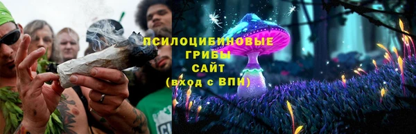 соль ск Семилуки