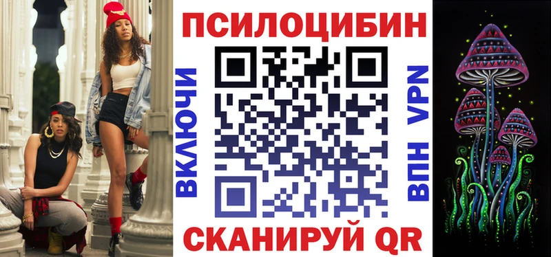 закладки  Боготол  Псилоцибиновые грибы Psilocybe 
