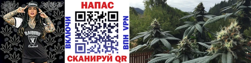 Конопля тримм  Боготол 